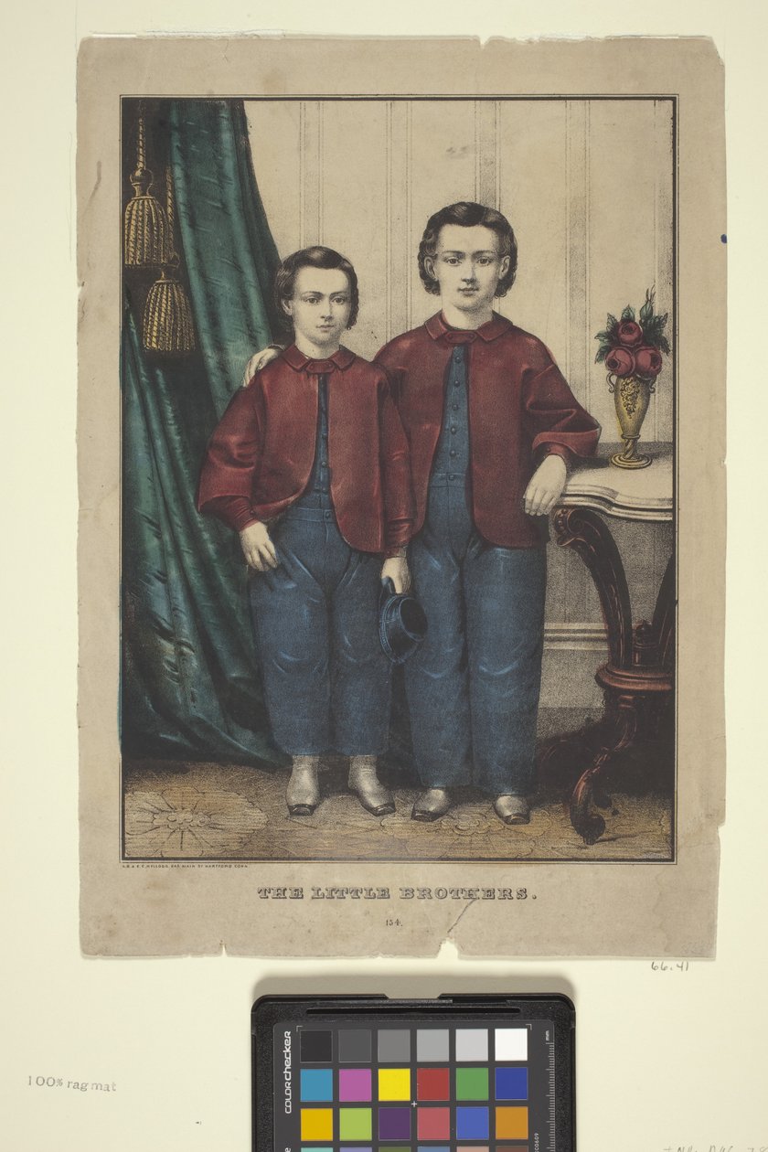 The Little Brothers (håndfarget litografi) av Edmund Burke Kellogg