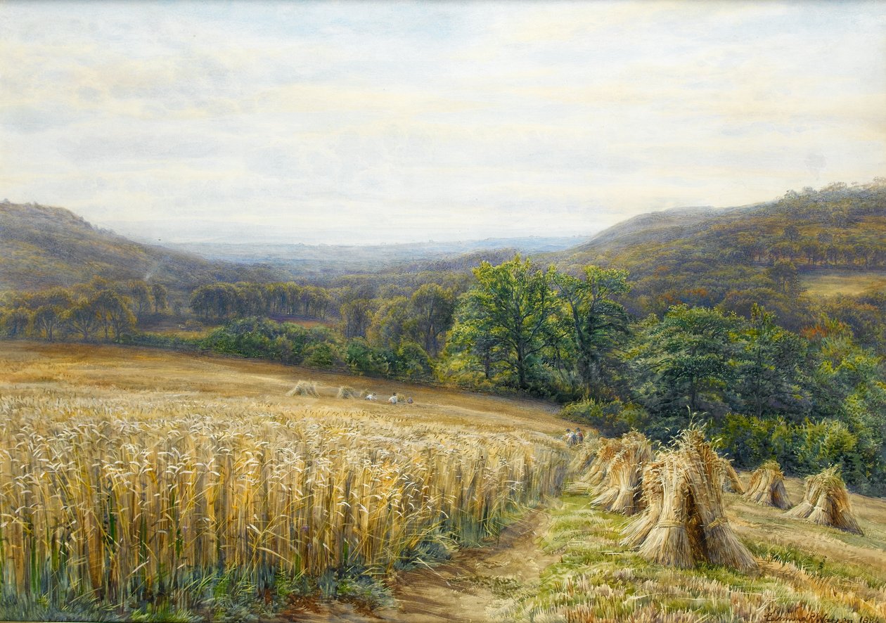 Harvest Time nær Ashburton, 1884 (wc og gouache på papir) av Edmund George Warren