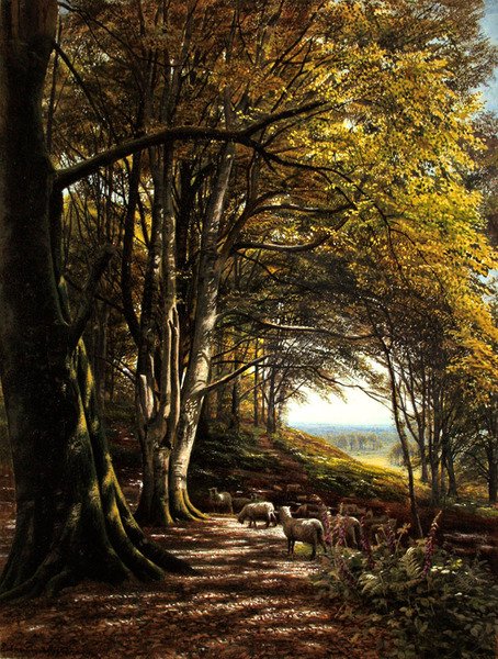 Sauer beiter i en skoglysning (akvarell og kroppsfarge på papir) av Edmund George Warren