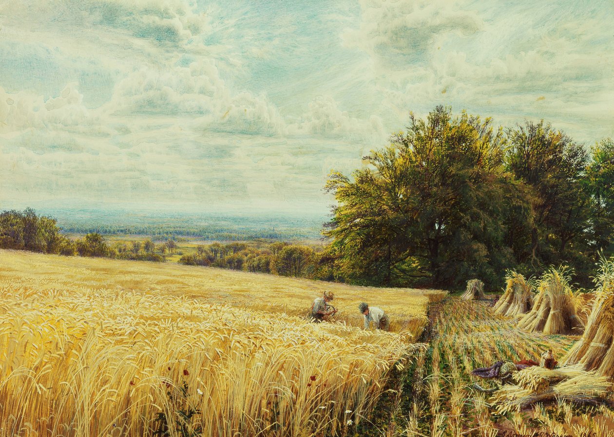 The Harvesters, 1865 av Edmund George Warren