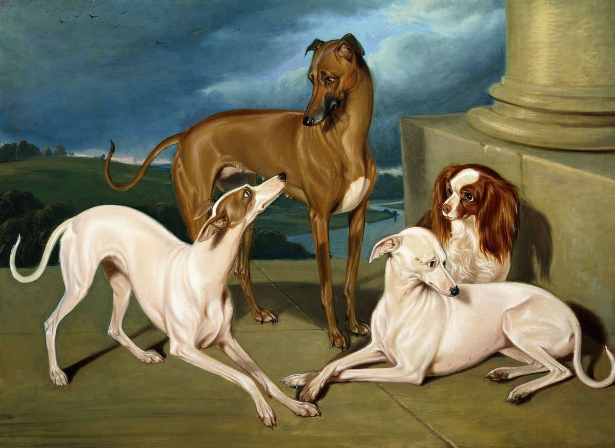 Whippets og en King Spaniel, 1837 av Edmund Jr Havell