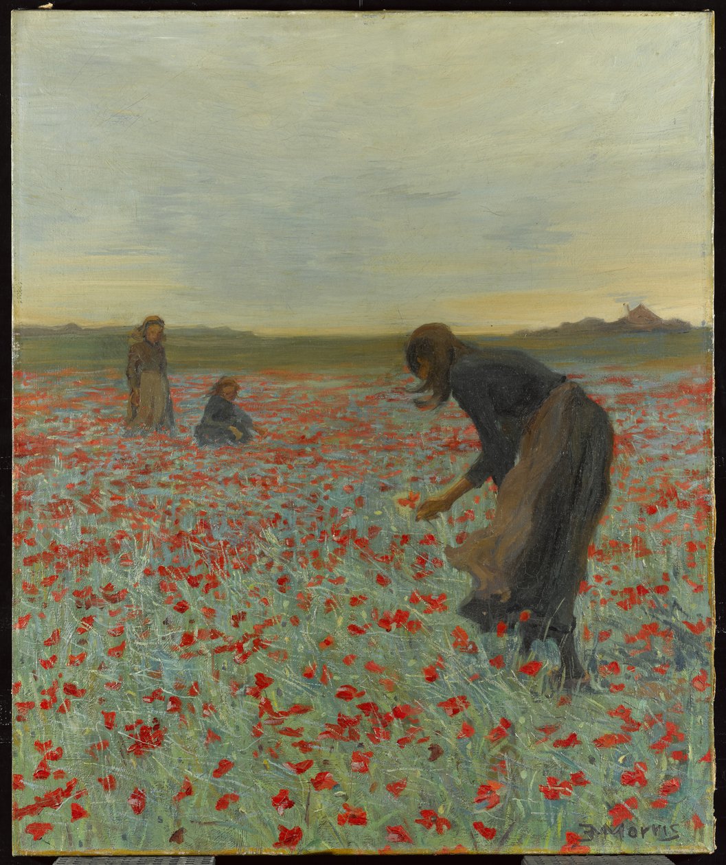 Jenter i en valmuemark, ca. 1896 av Edmund Montague Morris