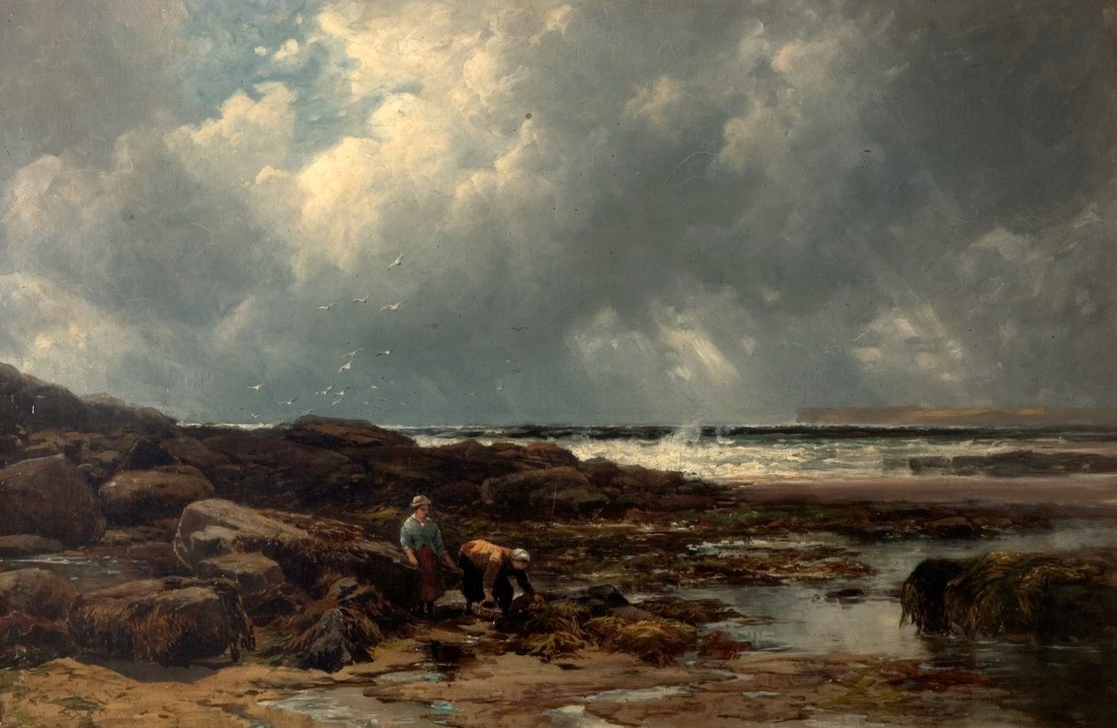 Tangsamlerne av Edmund Morison Wimperis