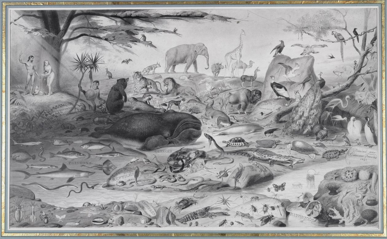 Adam og Eva og dyrene, 1841 av Edouard Travies