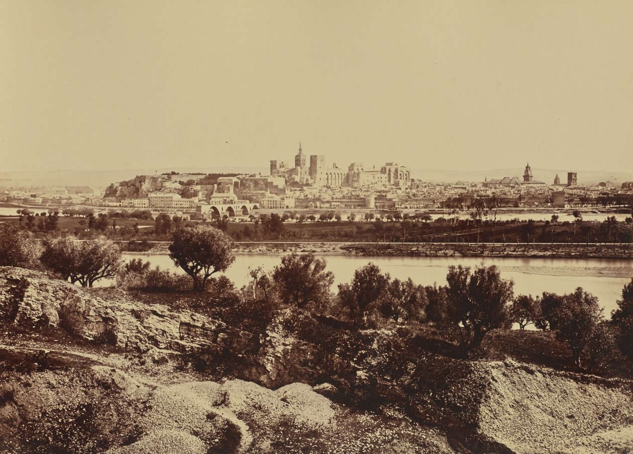 Avignon av Édouard Baldus