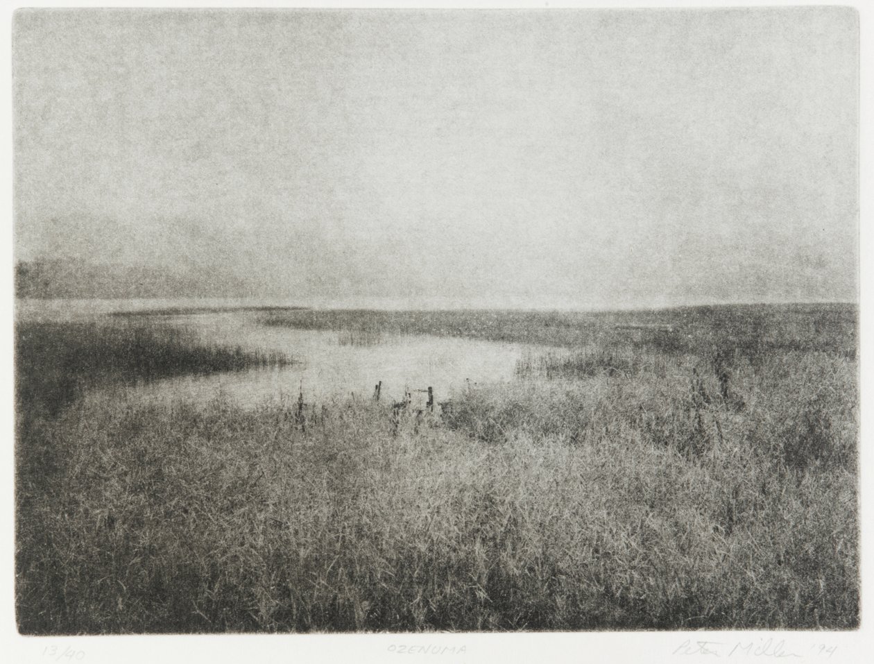 Ozenuma, 1994 av Edouard Cremieux