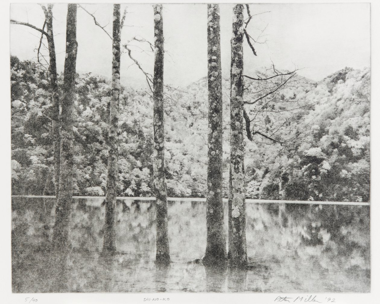 Toki-Noko, 1992 av Edouard Cremieux