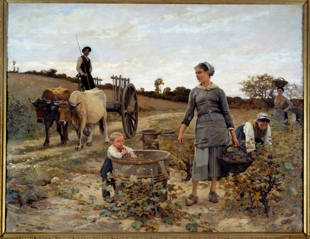 Vinrankehjørne i Languedoc Maleri av Edouard Debat Ponsan (1847-1913) 1886 Søn. 2,02x2,6 m Nantes, Musee des Beaux Arts av Edouard Debat Ponsan