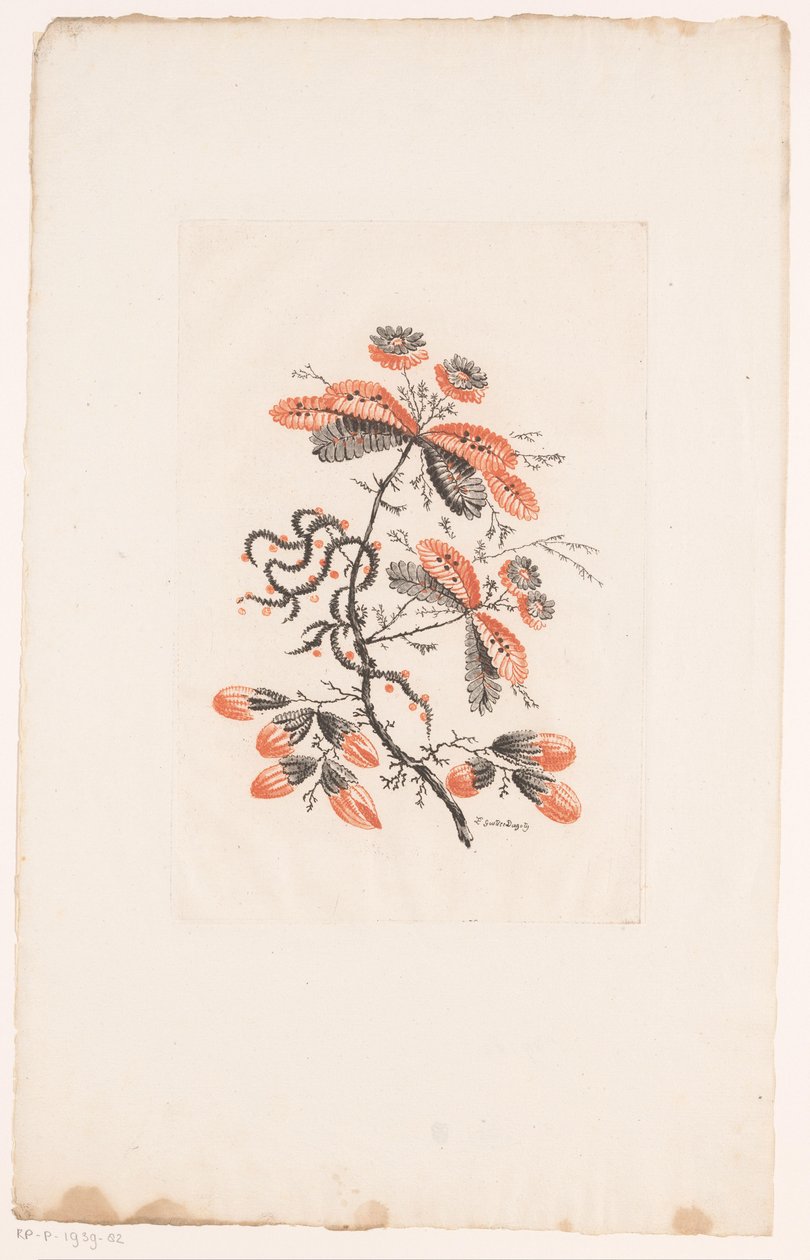 Blomster og knopper Fleurs Idealle (serietittel) av Edouard Gautier Dagoty