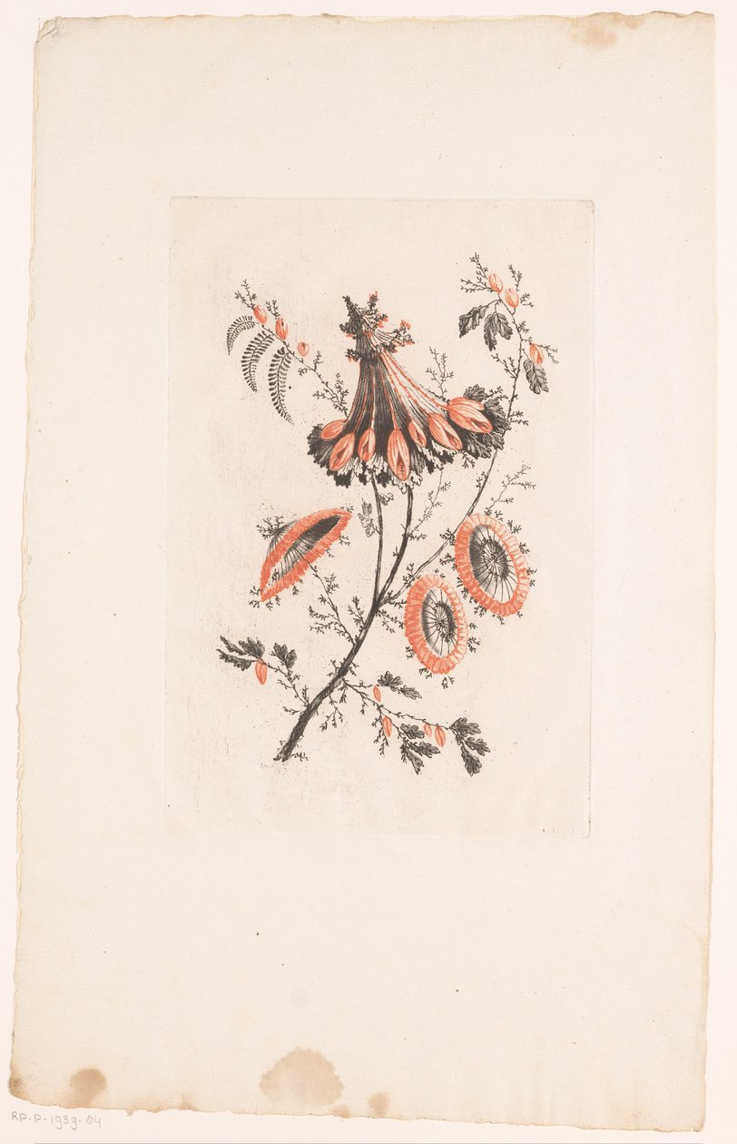 Parasollformede blomster Fleurs Idealle (serietittel) av Edouard Gautier Dagoty