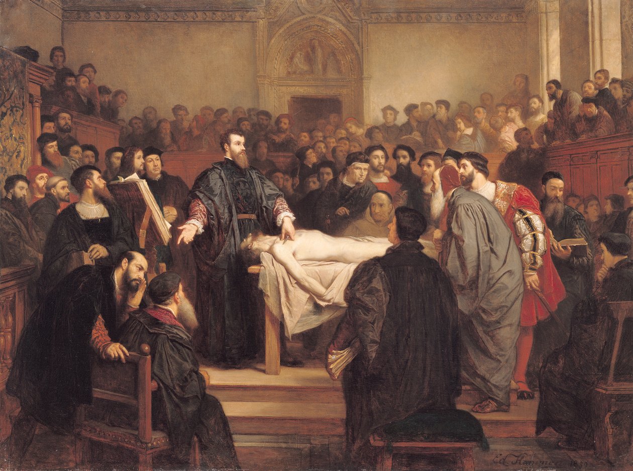 Andreas Vesalius (1514-64) i Padua, 1859 av Edouard Jean Conrad Hamman