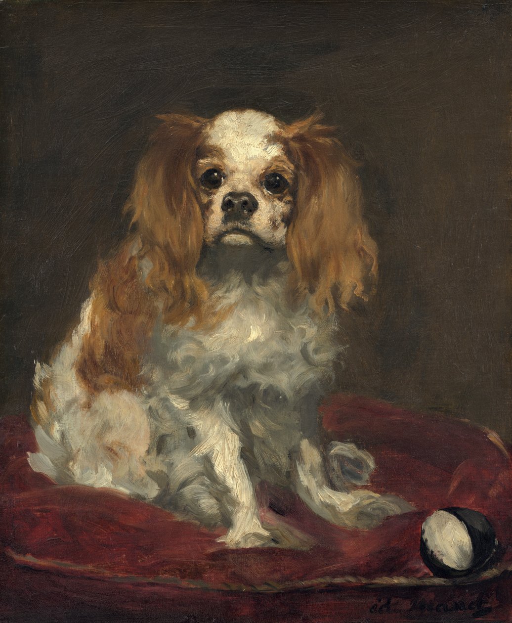 En King Charles Spaniel, ca. 1866 (olje på lin) av Édouard Manet