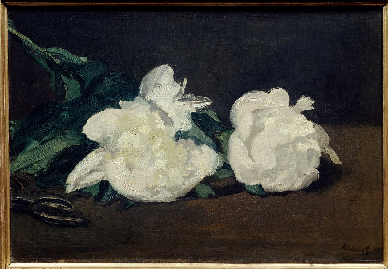 Gren av hvite peoner og sekatør Maleri av Edouard Manet (1832-1883) 1864 Dim. 0,31x0,46 m. Paris. Orsay museum av Édouard Manet