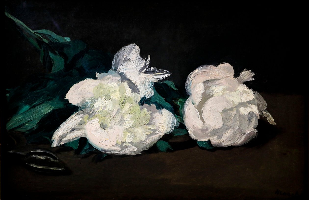 Gren av hvite peoner og sekatører av Édouard Manet