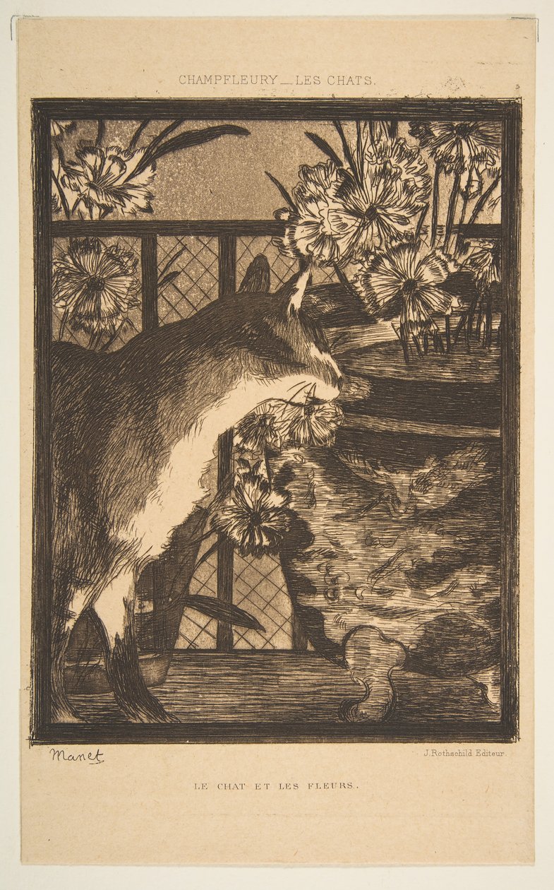Katt og blomster. Illustrasjon til The Cats av Champfleury, 1869. av Édouard Manet
