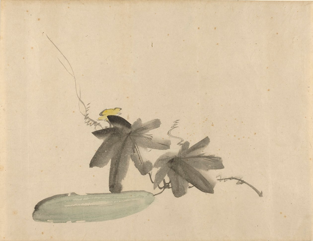 Agurk med blader av Édouard Manet