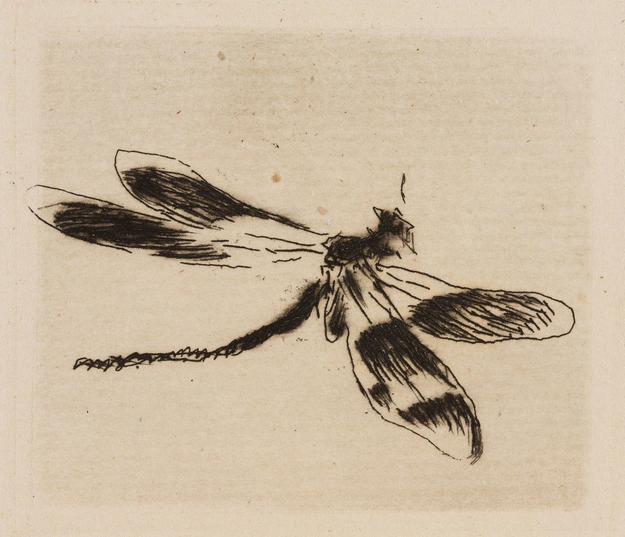 Dragonfly, plate 1 fra The River av Édouard Manet