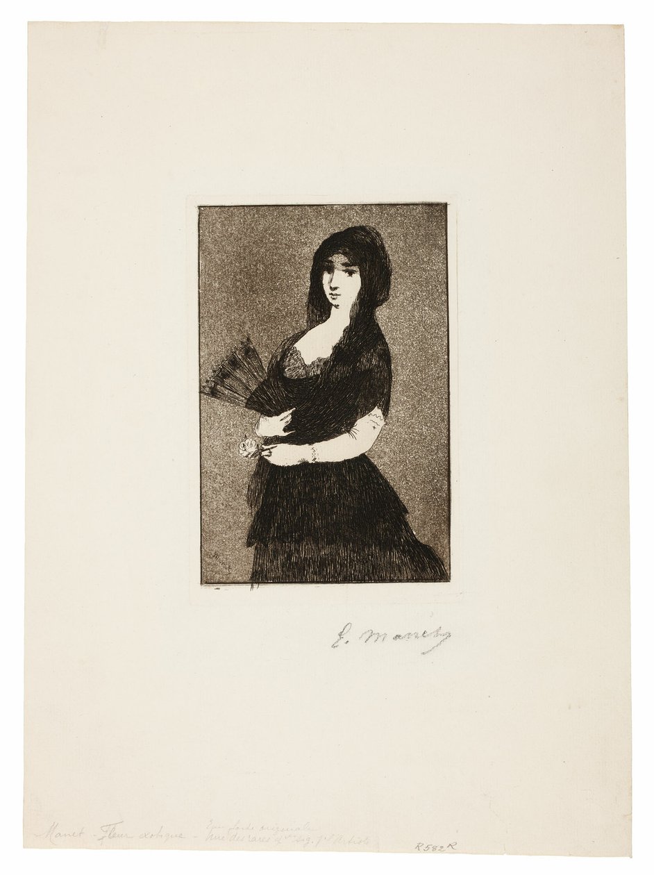 Eksotisk blomst (kvinne i en mantilla) av Édouard Manet