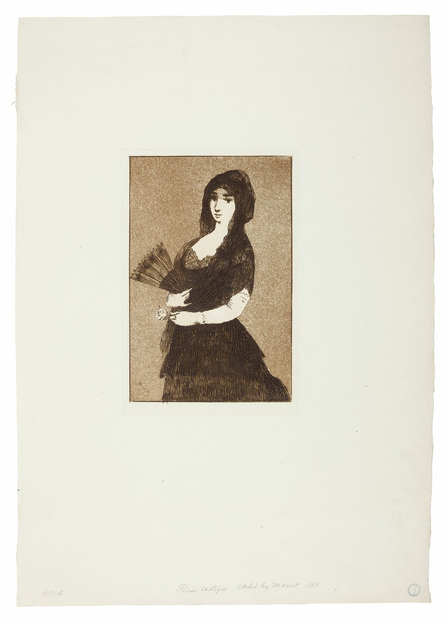 Eksotisk blomst (kvinne i en mantilla) av Édouard Manet