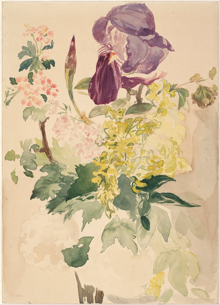 Blomsterstykke med Iris, Laburnum og Geranium, 1880 av Édouard Manet