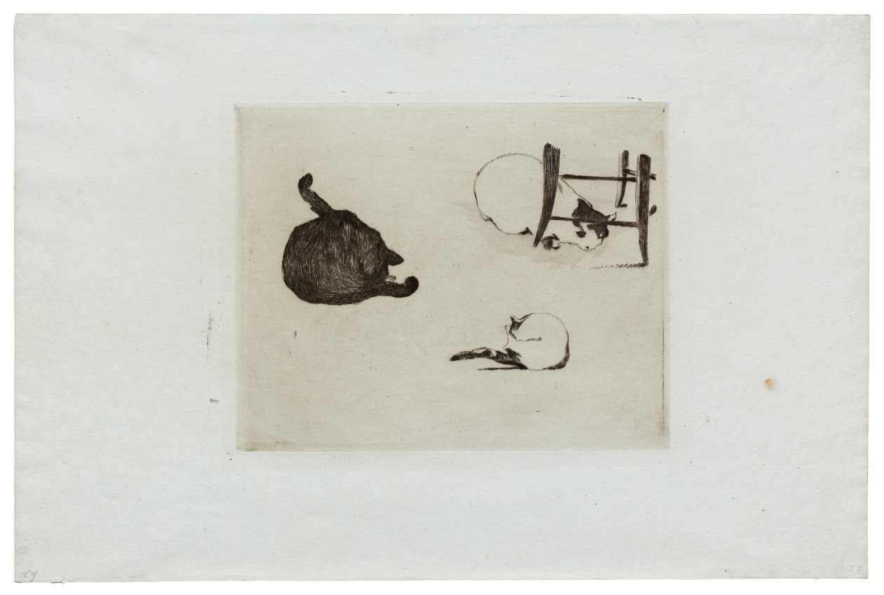Kattene av Édouard Manet