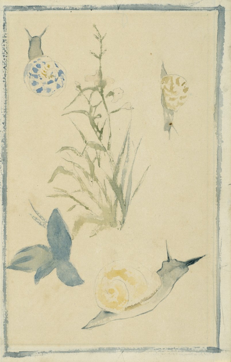 Skisser av snegler, blomstrende plante, ca.1880 av Édouard Manet
