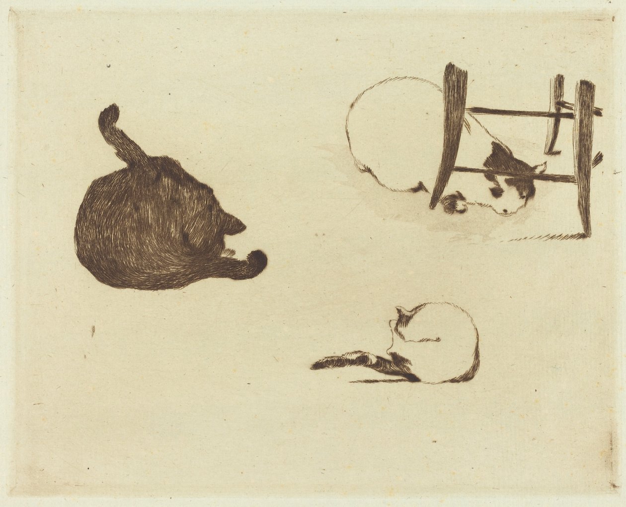 The Cats (Les chats) av Édouard Manet