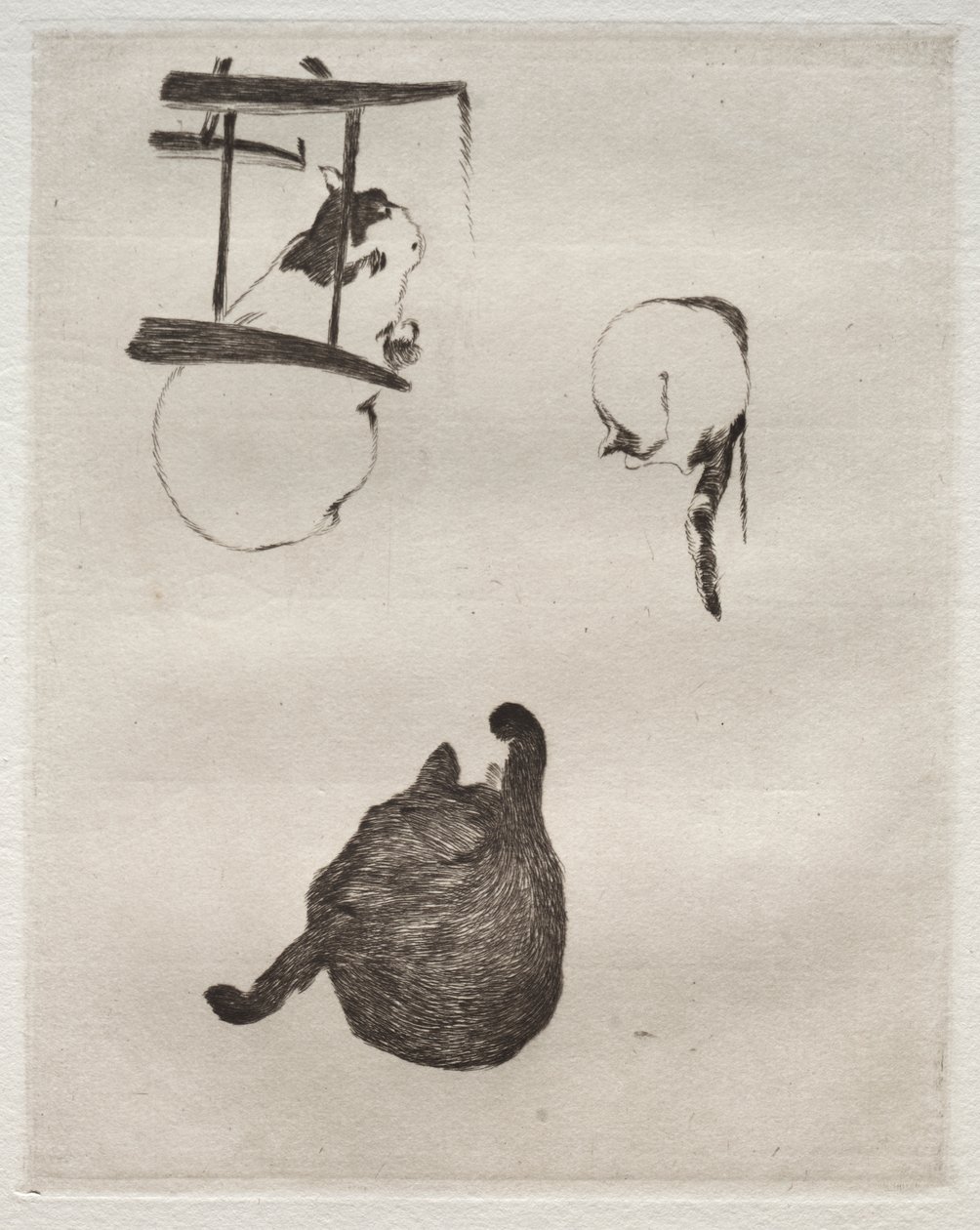 Kattene av Édouard Manet