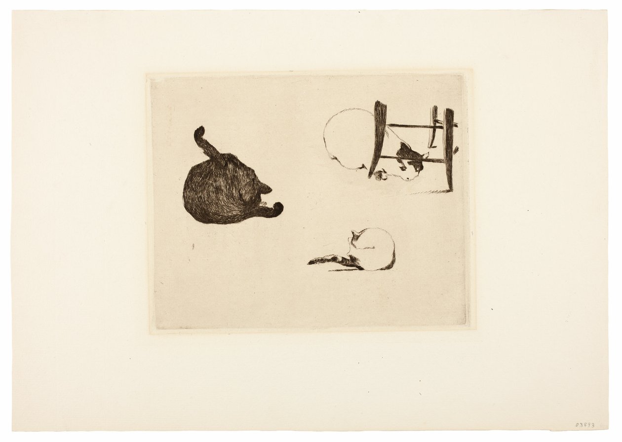 Kattene av Édouard Manet
