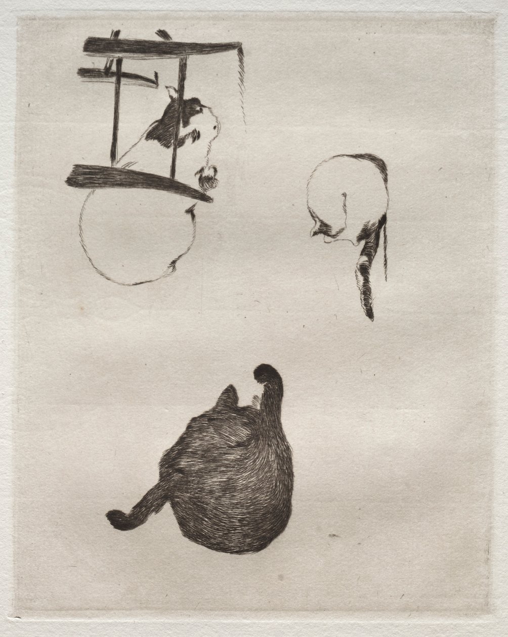 Kattene, 1868-1869. av Édouard Manet