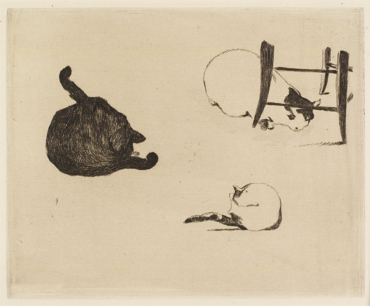 Kattene, 1869 av Édouard Manet