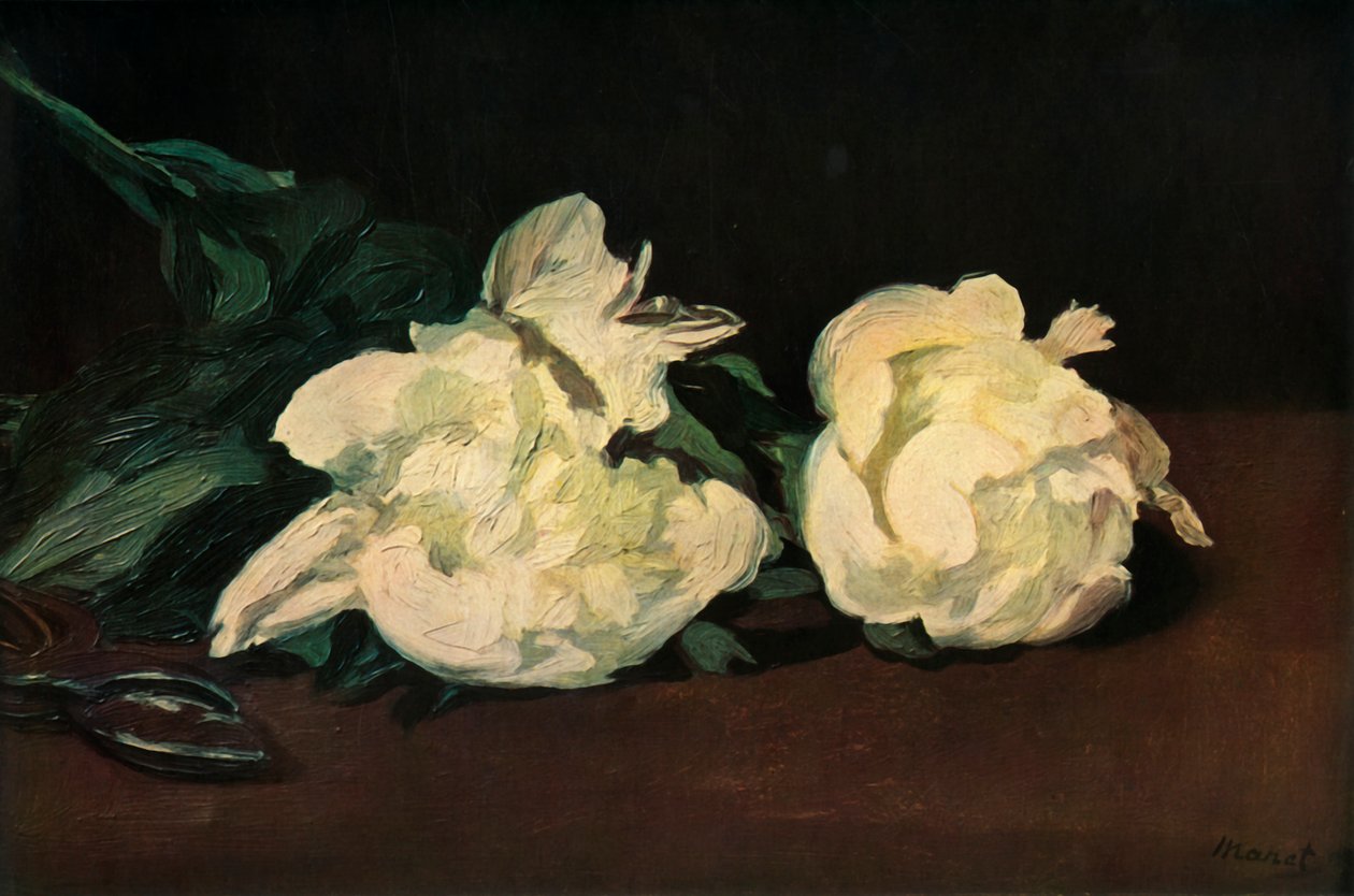 Hvite peoner, 1864, 1937. av Édouard Manet