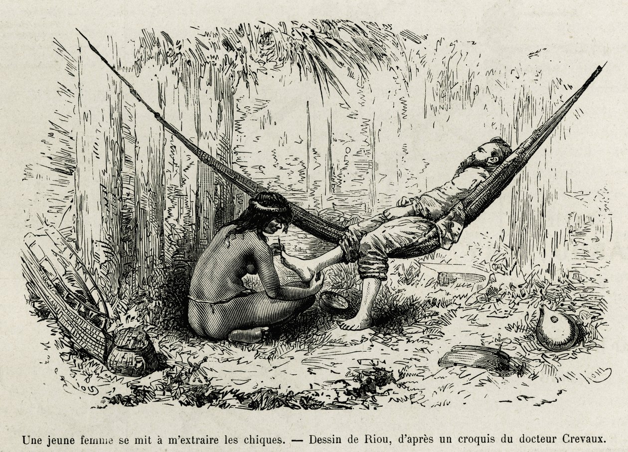 En ung Roucouyan-kvinne trekker ut shies som har strålt oppdagerens føtter i løpet av natten. Gravering av Riou, for å illustrere historien om Cayenne aux Andes, av Jules Crevaux, lege for den franske marinen, i 1878-1879, publisert i Tour du monde, un av Edouard Riou