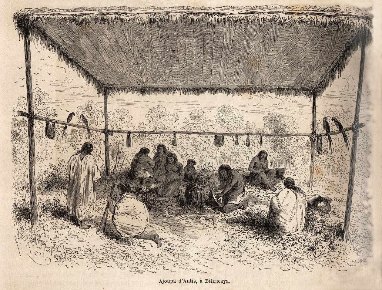 Ajoupa (prekær boligbygging) av antis-indianerne, i Biticaraya (Peru), tegning av Riou, som illustrerer reisen fra Stillehavet til Atlanterhavet av Edouard Riou