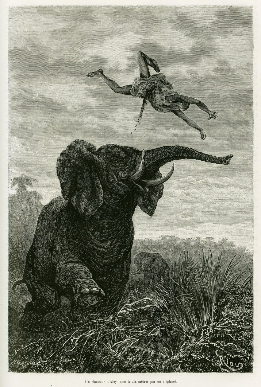 Aleys jeger kaster en mil fra en elefant. Gravering av Riou for å illustrere historien Les lacs de l