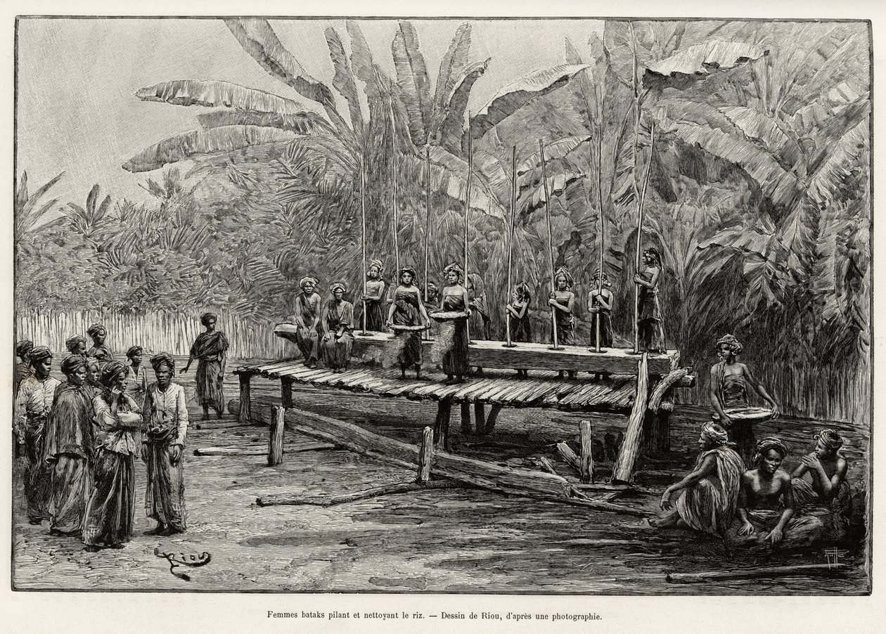 Batak-kvinner, etnisk gruppe i Nord-Sumatra, banker og renser ris. Gravering av Riou for å illustrere historien "et år i Malaysia", av Jules Claine (1856-1939) av Edouard Riou