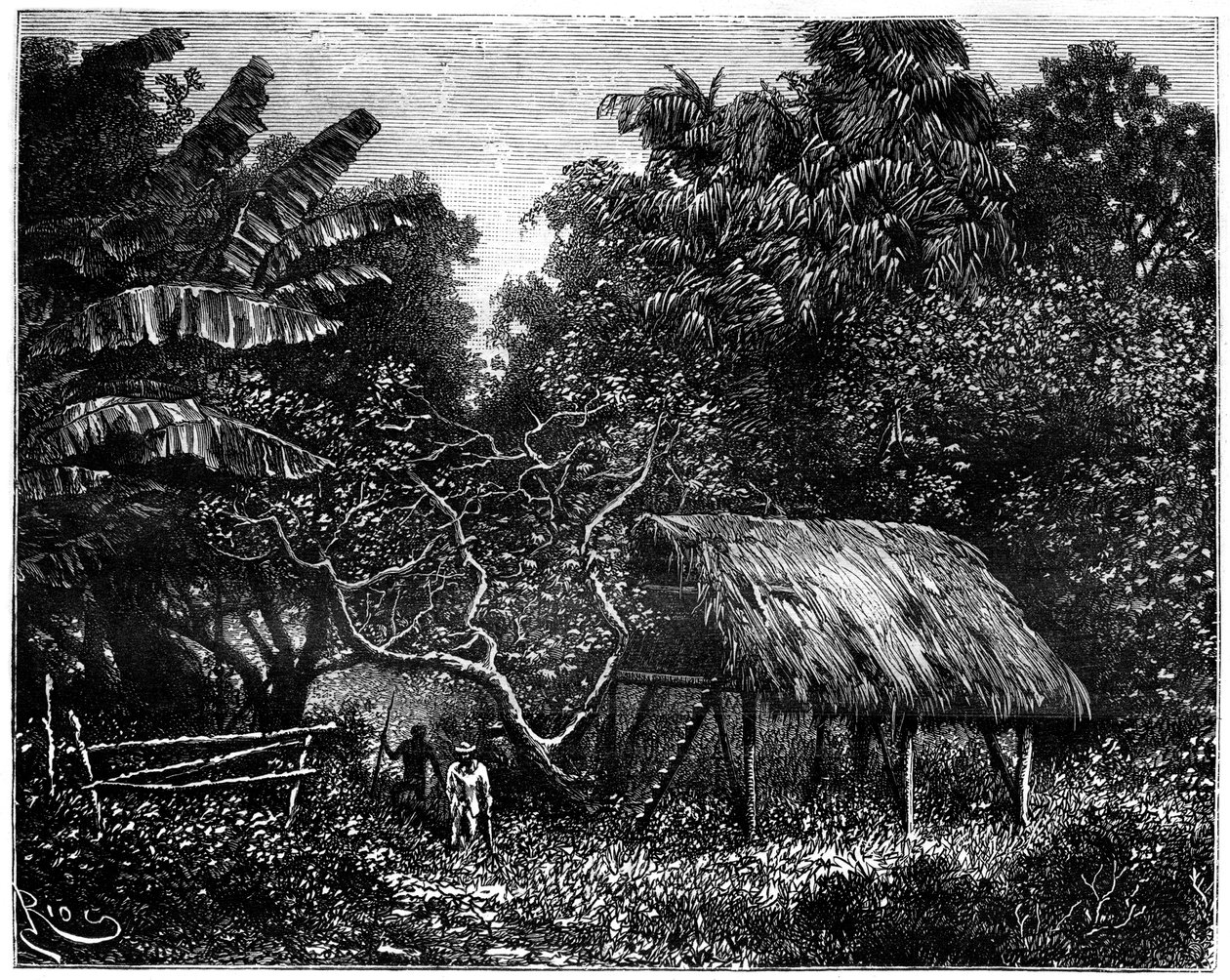 Guyana, Sør-Amerika, 1800-tallet av Edouard Riou