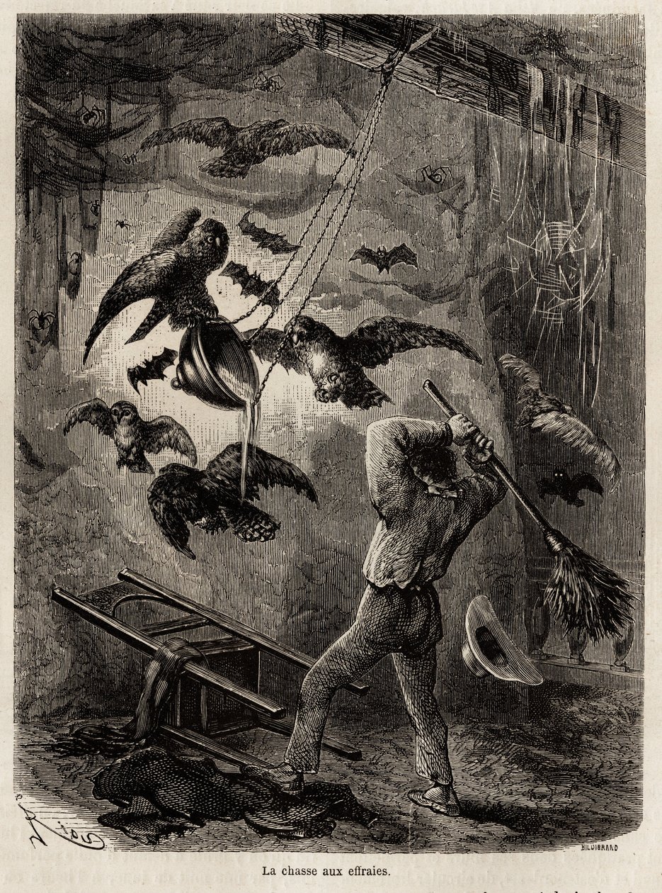 Jakt på ugler flyktet i kirken Sarayacu (Peru), tegning av Riou, for å illustrere Paul Marcoys reise fra Stillehavet til Atlanterhavet fra 1848 til 1860. Gravering i "" Le tour du monde", redigert av Edouard Charton av Edouard Riou
