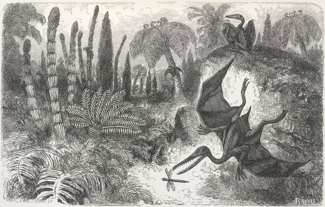 'Landskap fra den liasiske perioden'. Illustrasjon som viser en Pterodactyl av Edouard Riou