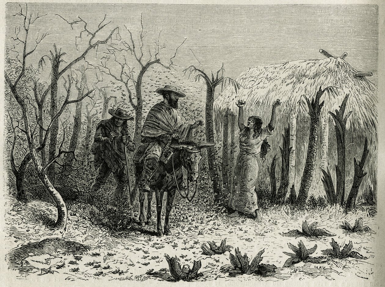 The Clouds of Grasshoppers of the Vallee du Upper Patia, med på muldyret fortelleren av reisen, gravert av Riou, for å illustrere historien L
