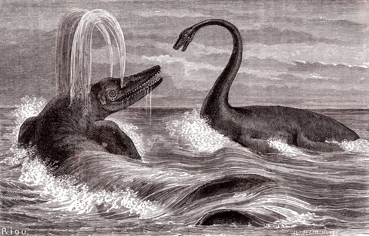 Ichtyosaurus og Plesiosaurus av Edouard Riou