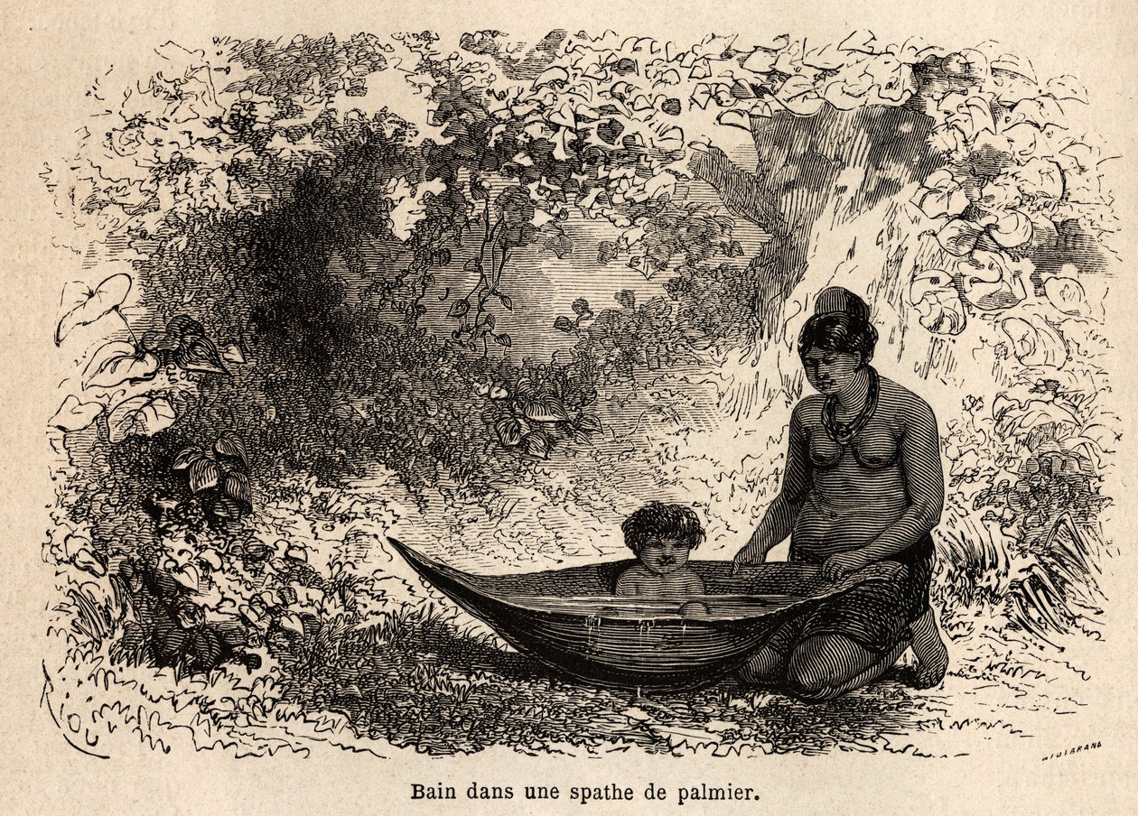 Badet til barnet i et palmeblad. Tegning av Riou, for å illustrere seilasen fra Stillehavet til Atlanterhavet av Edouard Riou