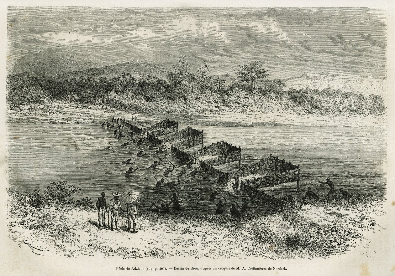 Fiskeindustrien ved elven Eboga, som fanger fisken, fører gjennom strykene gjennom sine bambusleire, tegnet av Riou, for å illustrere historien om en tur til Gabon og elven Ogoue, i 1875-1877, av Alfred Marche. Gravering i Le tour du monde av Edouard Riou