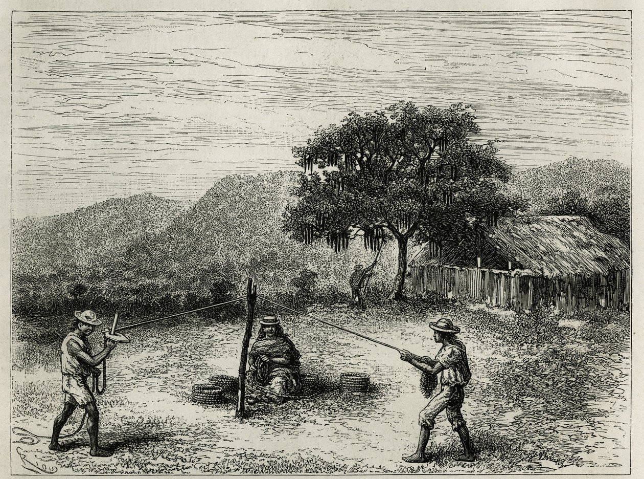 Produksjonen av cabuya, streng av Fourcroya, nær Cartago (Colombia), gravering av Riou, for å illustrere historien om Equinoxiale America av E.Andre, misjonsoppdrag fra den franske regjeringen, publisert i tour du monde, under ledelse av E av Edouard Riou