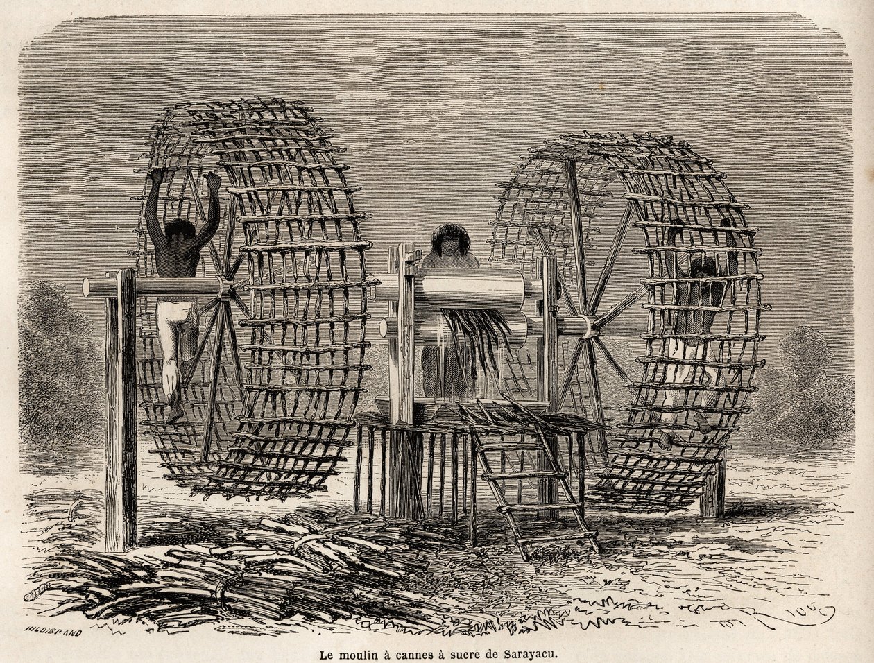 Kvernen for å male sukkerrør fra Sarayacu (Peru), tegning av Riou, for å illustrere Paul Marcoys reise fra Stillehavet til Atlanterhavet fra 1848 til 1860. Gravering i “” Le tour du monde””, redigert av Edouard Charton av Edouard Riou