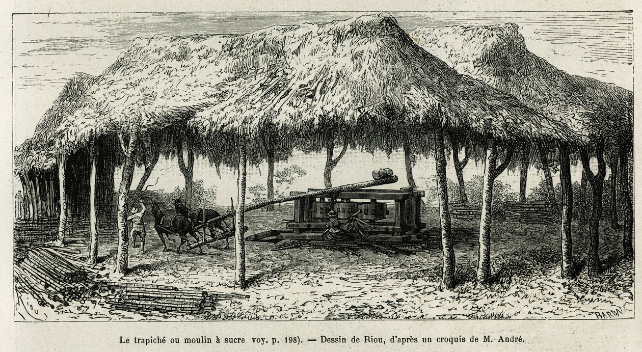 Trapisjen, eller sukkermøllen for å male stokkene i Panche (Colombia), tegning av Riou, for å illustrere historien om Equinoxiale America (Colombia, Ecuador, Peru), i 1875-1876, av Ed. andre, reiseoppdrag fra den franske regjeringen. Gravering i Le t av Edouard Riou