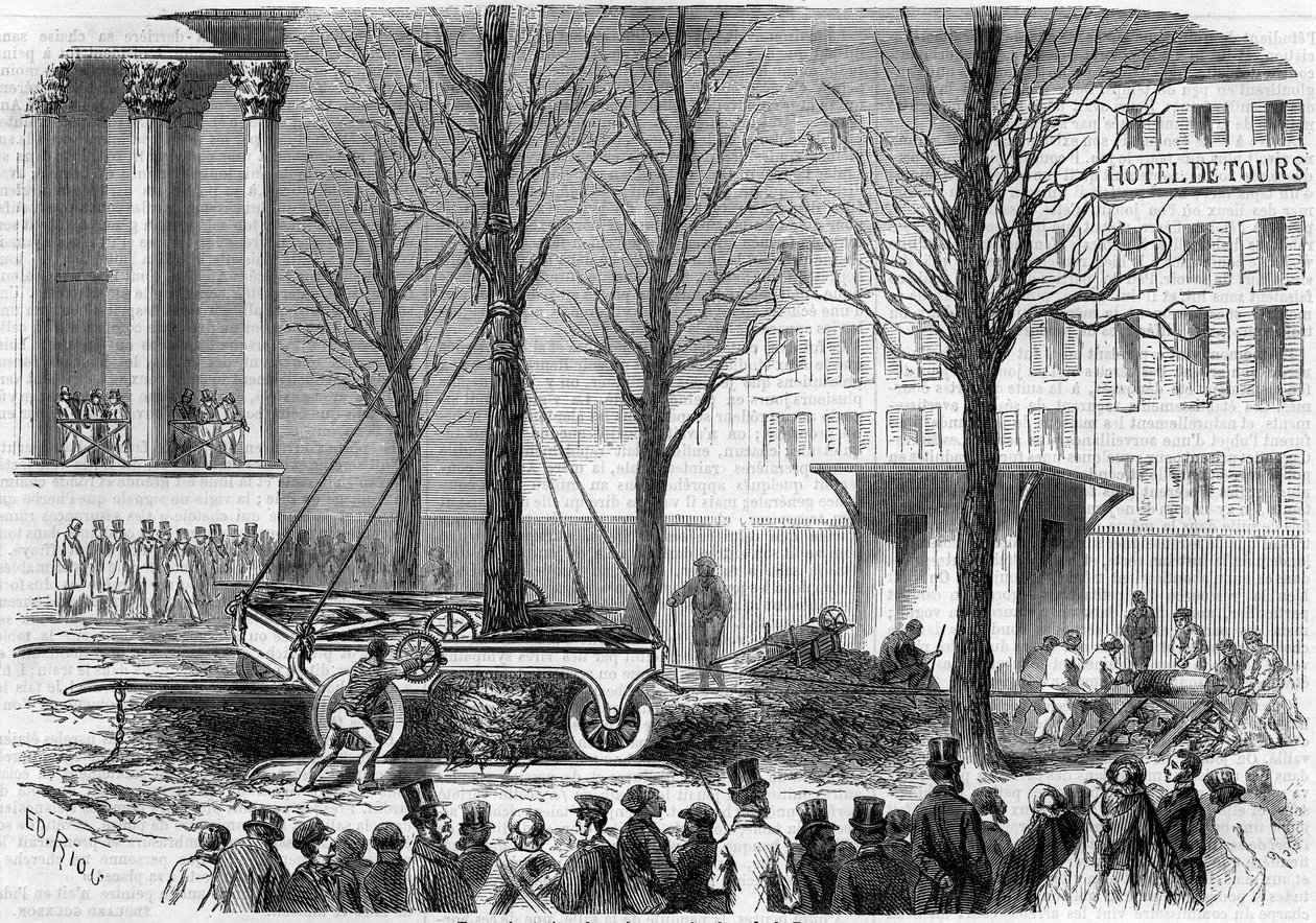 Transplantation of trees on Place de la Bourse in Paris during the winter of 1858. Engraving by Riou in “” Le Monde Illustré”” n°46 of 27 February 1858. av Edouard Riou