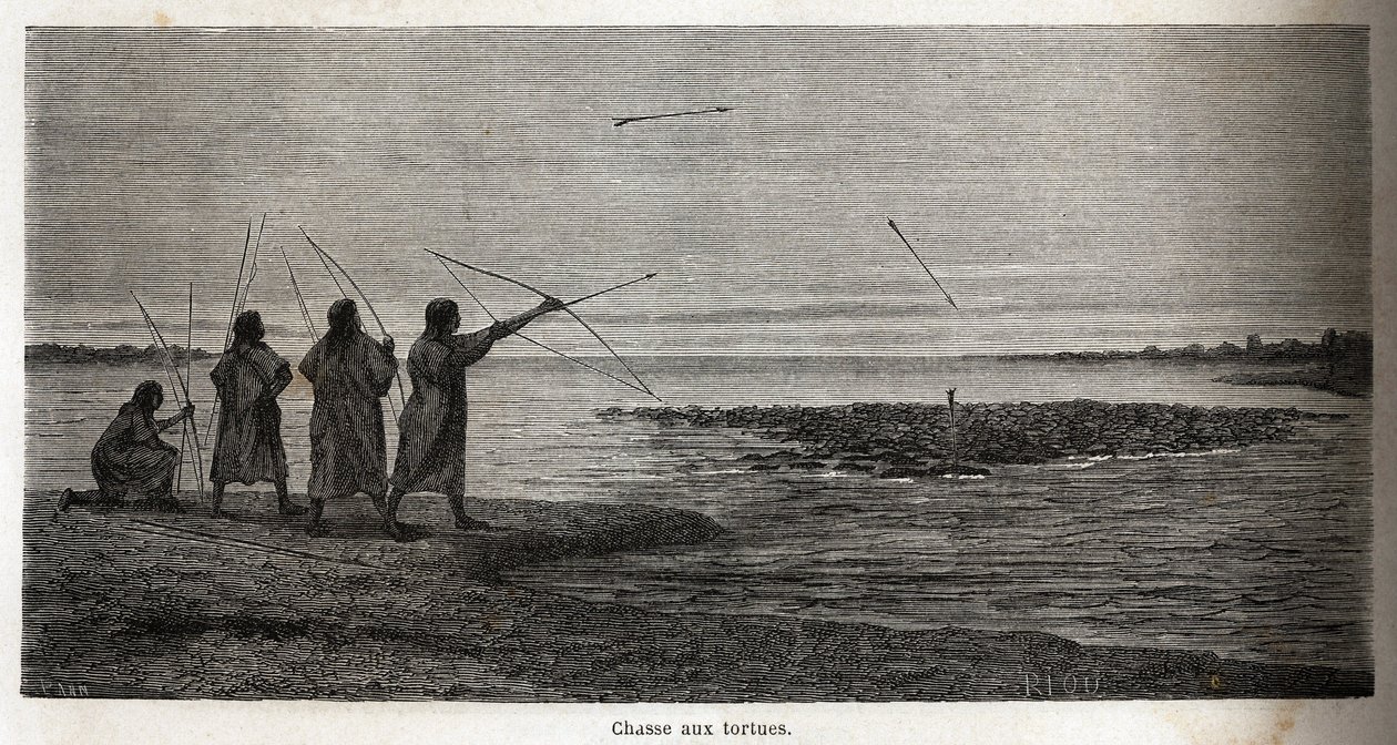 Skilpaddejakt, blant de indiske koniboene i Peru, tegning av Riou for å illustrere reisen, fra 1848 til 1860, til P. Marcoy, fra Stillehavet til Atlanterhavet. Gravering i "" Le tour du monde"", redigert av Edouard Charton av Edouard Riou