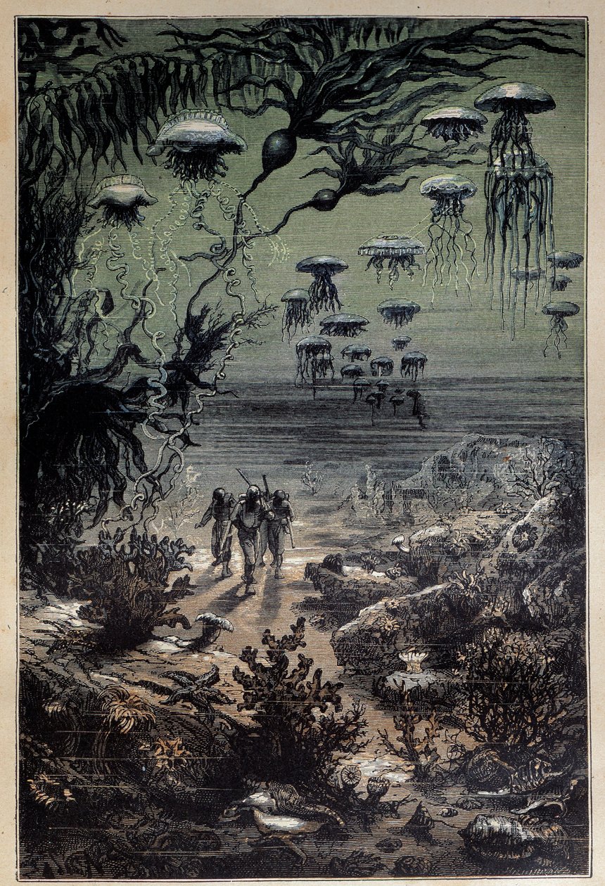 Undervannsgulv. Illustrasjon av Edouard Riou (1833-1900) for romanen "Tjue tusen ligaer under havet"" av Jules Verne (1828-1905) Privatsamling fra 1800-tallet av Edouard Riou