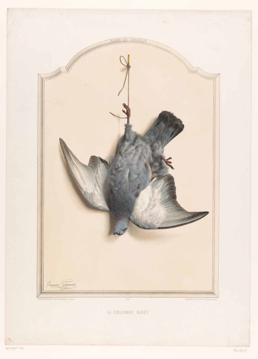 Død steindue hengende på ett ben La colombe biset (tittel på objekt) Museum of the Hunter (serietittel) Musée du chasseur (serietittel på objekt) av Edouard Travies